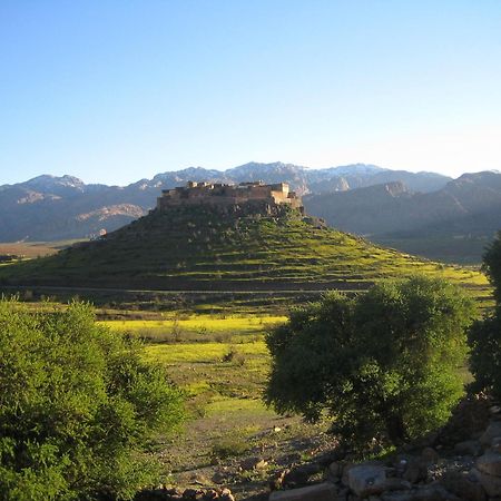 Tizourgane Kasbah Hotel Tiguissas Buitenkant foto