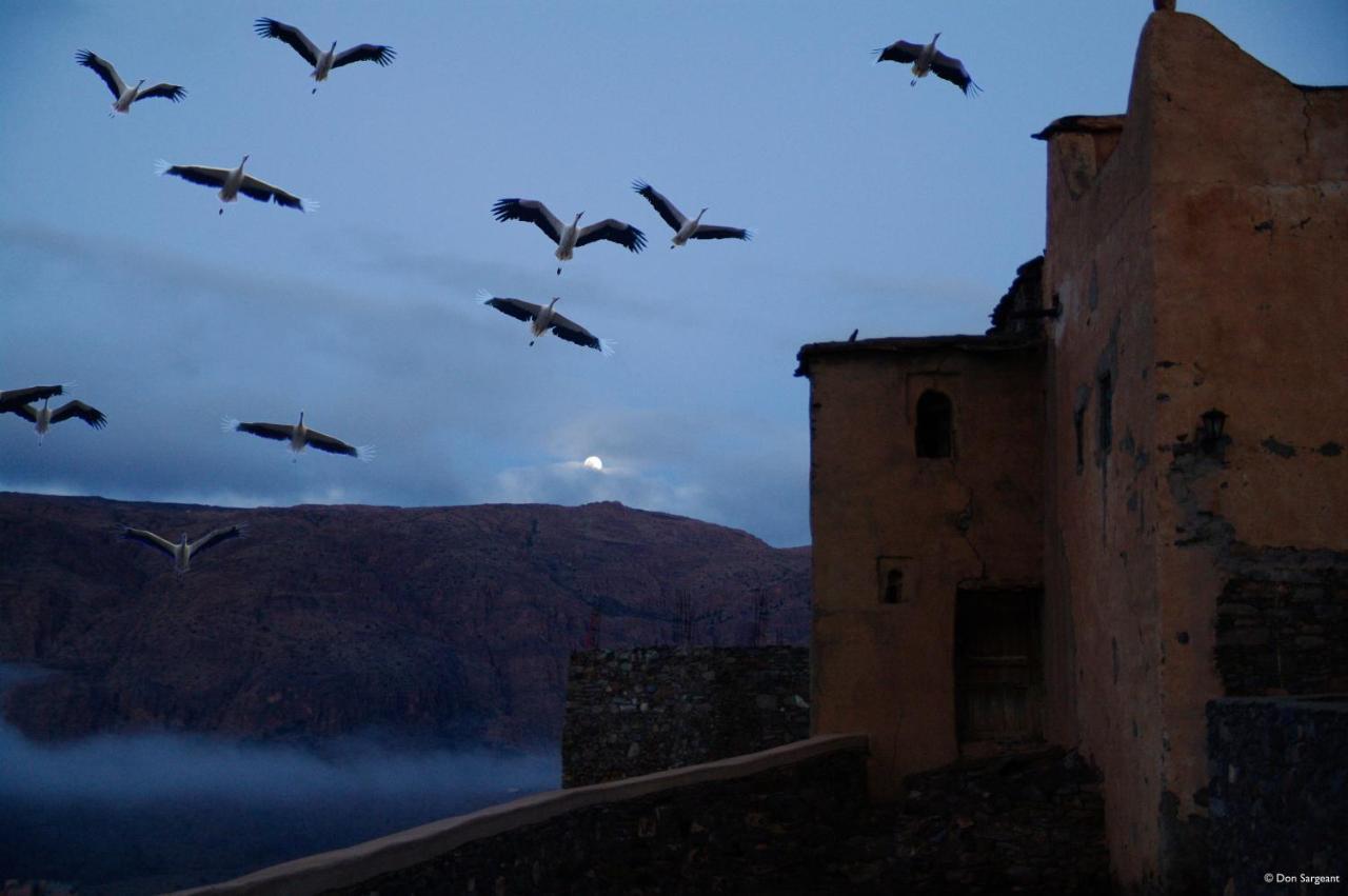 Tizourgane Kasbah Hotel Tiguissas Buitenkant foto