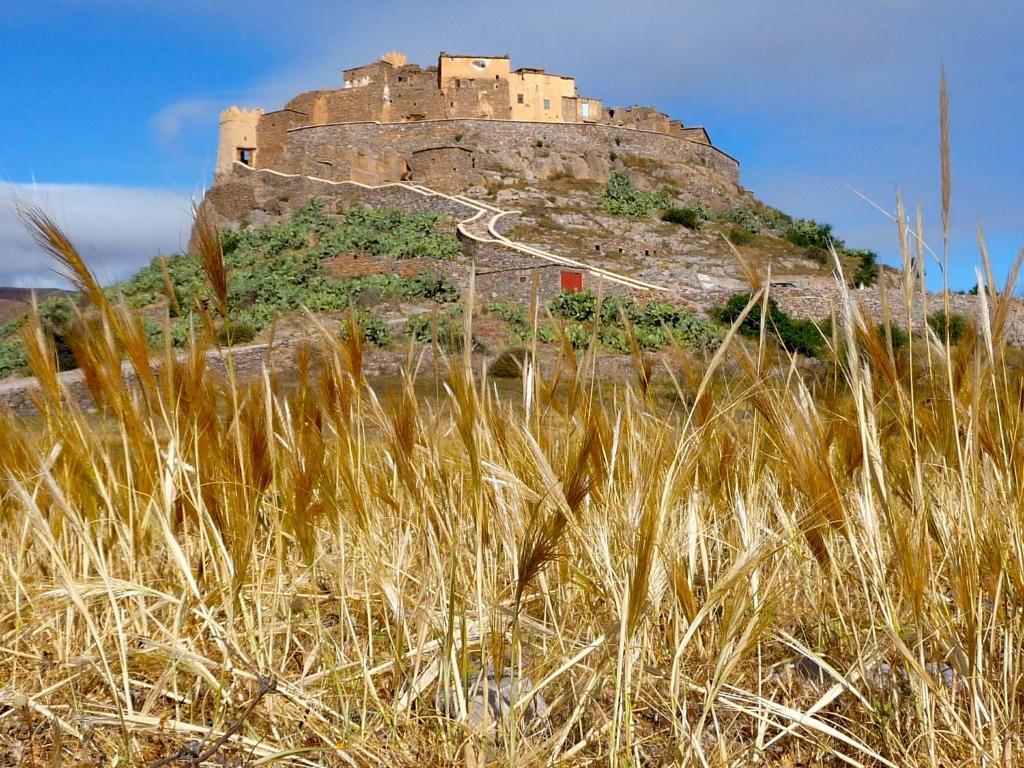 Tizourgane Kasbah Hotel Tiguissas Buitenkant foto