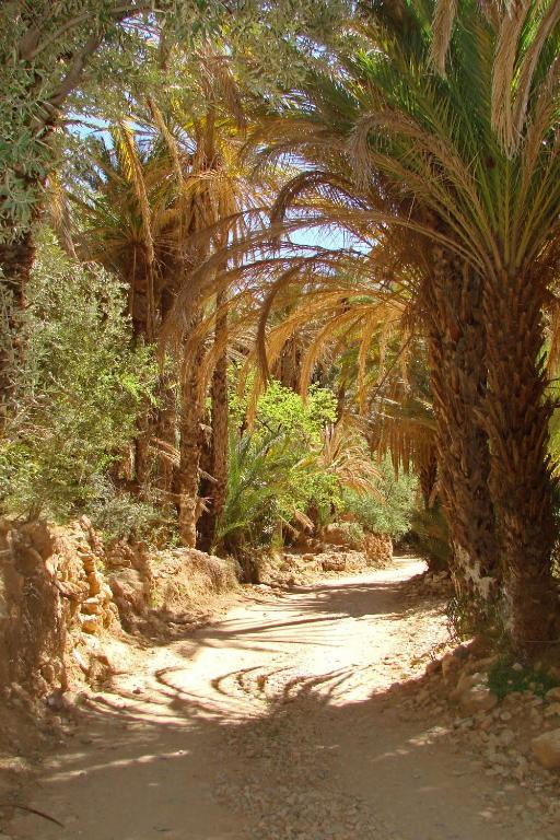 Tizourgane Kasbah Hotel Tiguissas Buitenkant foto